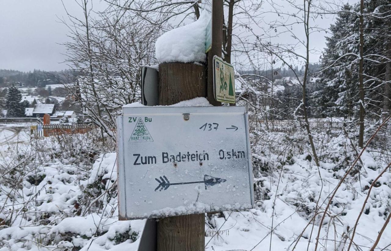 Bunter Bock / Die Harz-Urlaubs-Alm Clausthal-Zellerfeld Exteriör bild